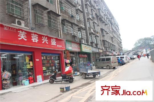湘江錦繡周邊芙蓉興盛