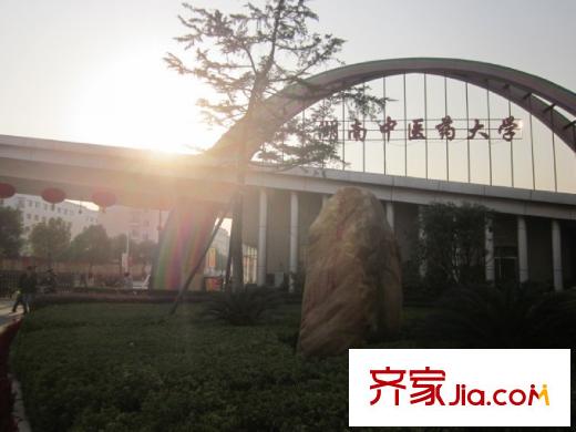 九龍領(lǐng)仕匯周邊中醫(yī)藥大學(xué)