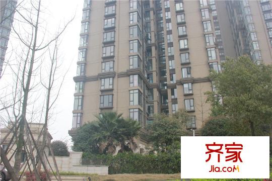 松雅湖金岸項(xiàng)目綠化（2015.03.31）