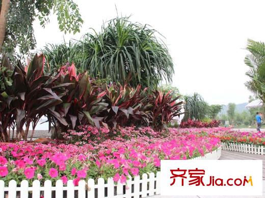 中一九駿周邊梅溪湖園林景色