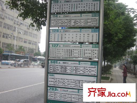 菲莎公館周邊公交反面