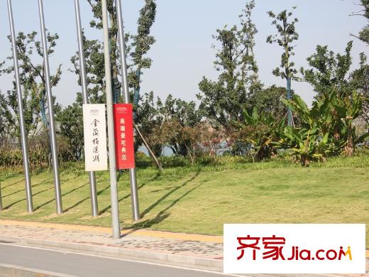地華梅溪湖畔周邊梅溪湖綠化