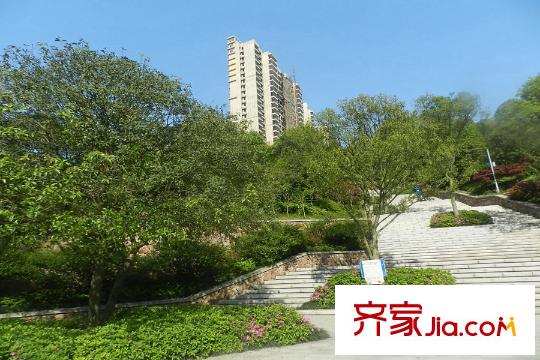 騎龍大街周邊綠化