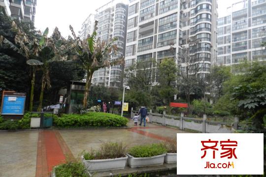 云棲谷項目綠化（2015.3.30）