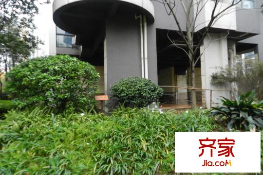 云棲谷項目內(nèi)綠化（2015.3.30）