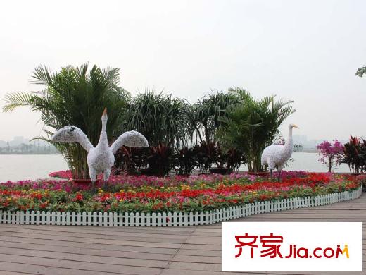 中一九駿周邊梅溪湖仙鶴