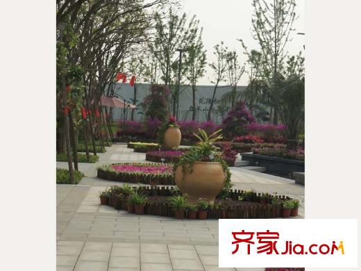 中一九駿周邊梅溪湖花