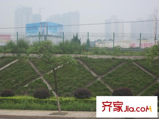 蝴蝶谷周邊綠化