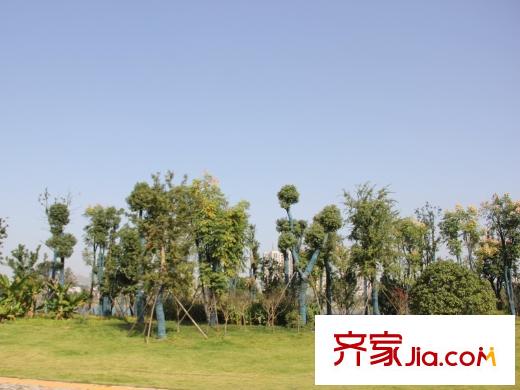中國鐵建梅溪青秀周邊梅溪湖草地