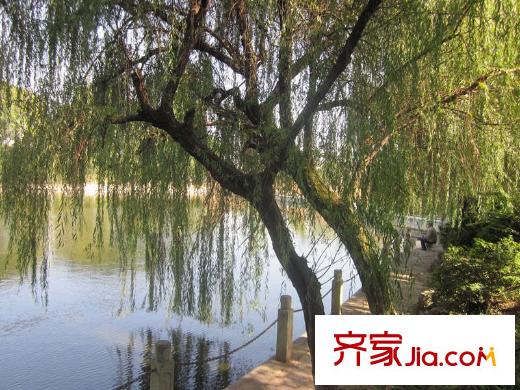 山水譽(yù)峰周邊王陵公園湖泊
