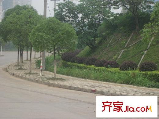 蝴蝶谷周邊綠化