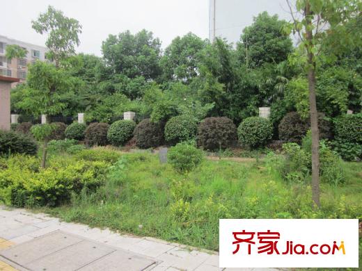 天麓周邊綠化帶