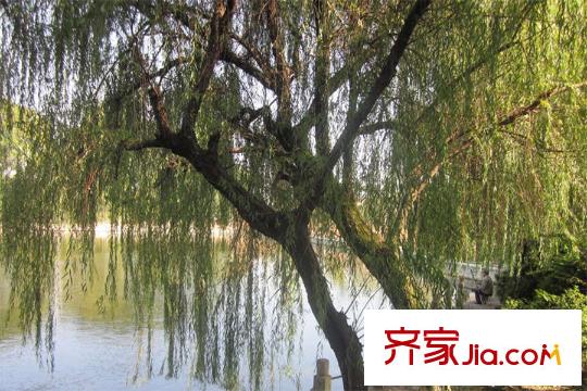 鑫陽大廈周邊湖景