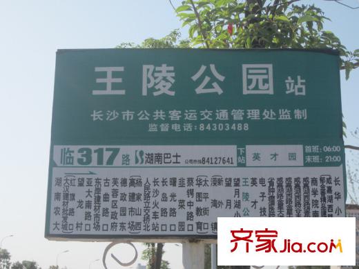 鑫陽大廈周邊公交站