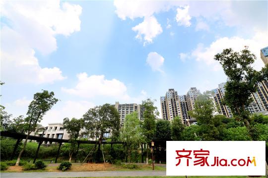 北大資源時(shí)光周邊綠化