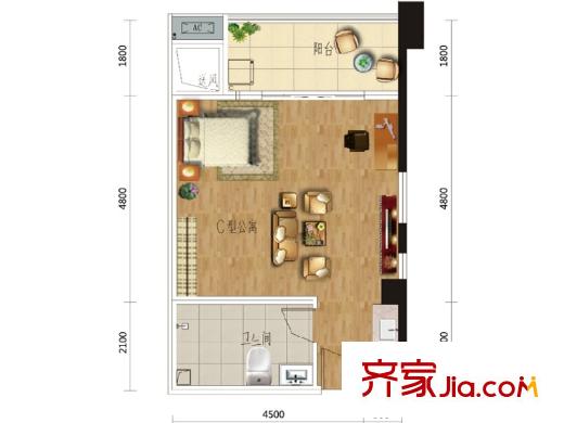 濱江一號(hào)3棟C戶型 1室1廳1衛(wèi)1廚