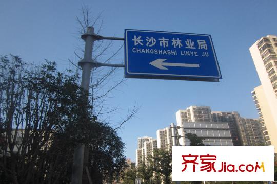 銀太家園周邊林業(yè)局