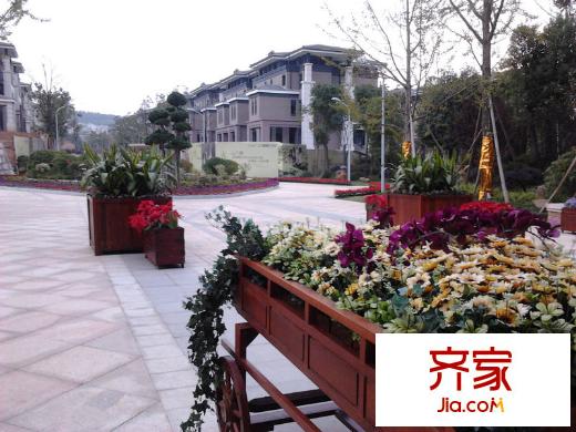 天麓別墅實景（2012.11.05）