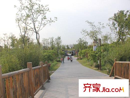 合能洋湖公館周邊洋湖垸道路