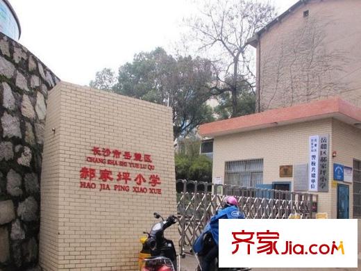 濱江一號(hào)周邊郝家坪小學(xué)
