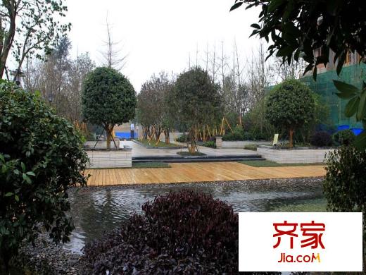 紅橡華園園林綠化（2011.12.21）
