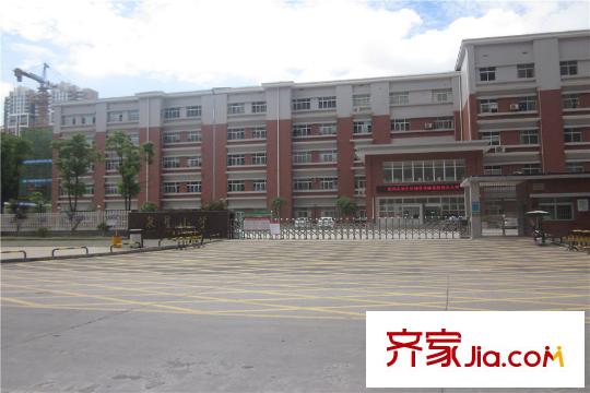 海德公園周邊泉星小學(xué)