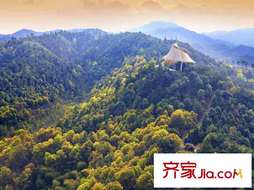 新地東方明珠周邊谷山私家公園