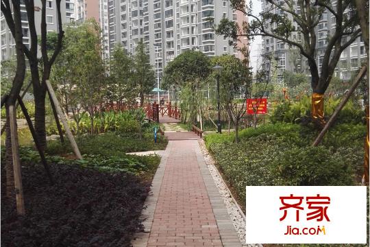 豐源國(guó)際園中小徑（2015.10.20）