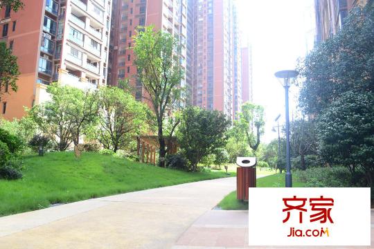 新地東方明珠小區(qū)道路（2015.04.15）