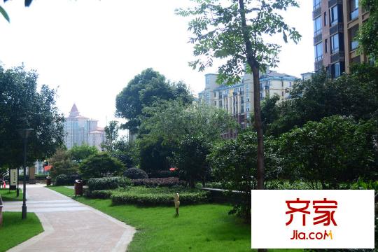 新地東方明珠小區(qū)道路（2015.04.15）