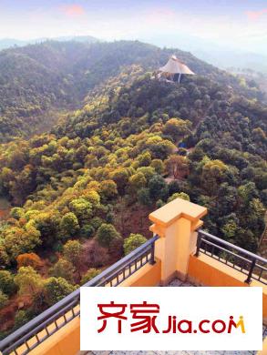 新地東方明珠周邊谷山私家公園