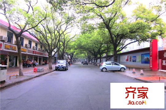 壹廷中央府院項目旁道路實況(2015.3.30)