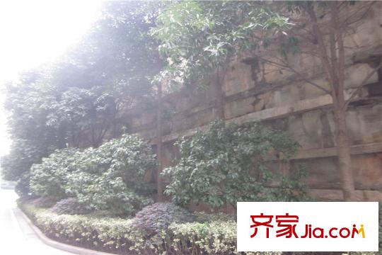 和莊二期周邊小區(qū)綠化