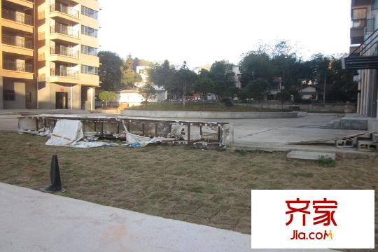 杜鵑文苑小區(qū)綠化（2015.12.21）