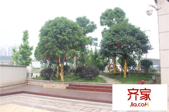 博長山水香頤售樓處旁綠化（2015.5.27）
