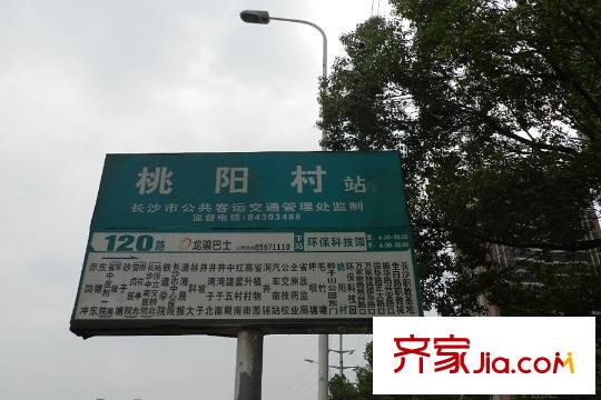 卓越蔚藍城邦周邊桃陽村站120路站牌