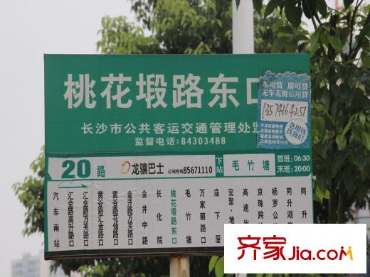 卓越蔚藍城邦周邊公交車站
