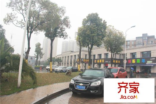 山水灣項(xiàng)目綠化（2015.03.31）