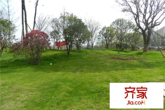 電建地產(chǎn)星湖灣草地（2015.3.12）