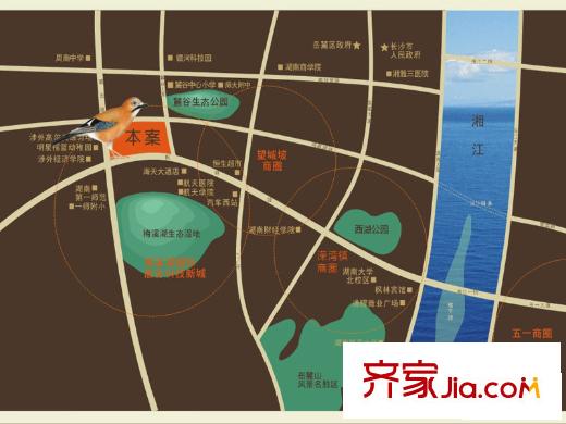 中房F聯(lián)邦交通圖