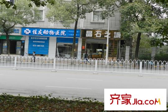 綠地湖湘中心周邊動(dòng)物醫(yī)院