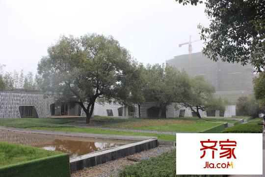 綠地湖湘中心項目綠化（2015.12.7）
