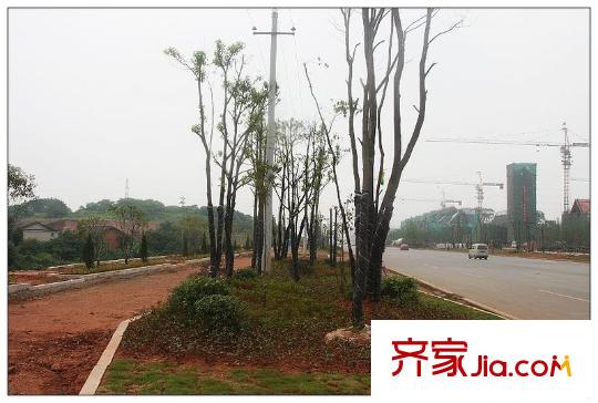 電建地產(chǎn)星湖灣周邊道路