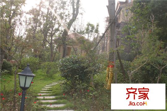振業(yè)城園林實景（2015.9.16）