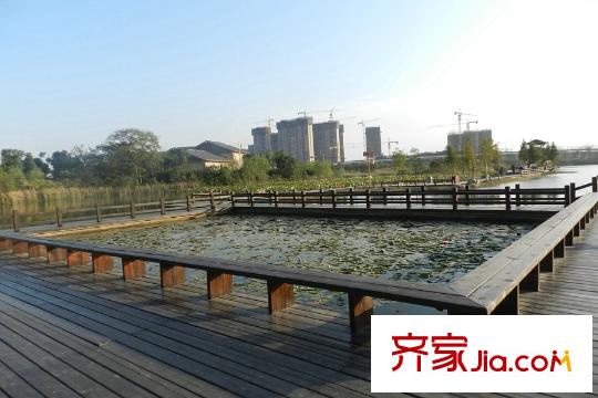 曠遠洋湖18克拉周邊公園荷花池