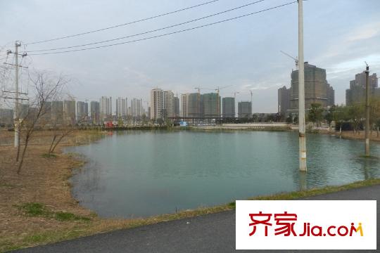 合能洋湖公館二期周邊洋湖公園