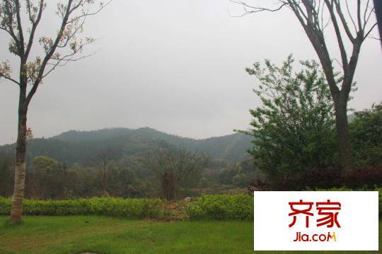 綠城青竹園社區(qū)環(huán)境(2015.3.30)