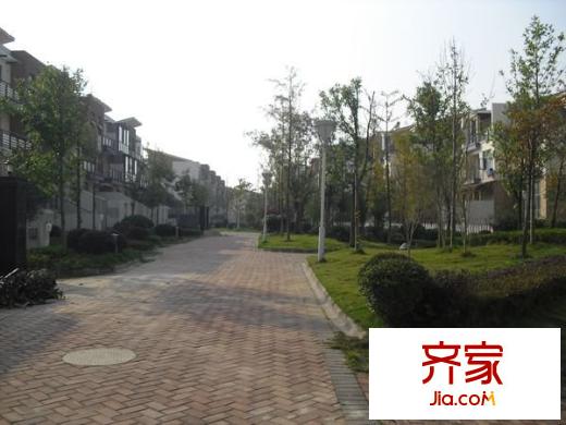 南山?蘇迪亞諾別墅外景圖