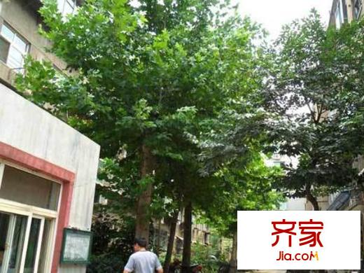 仲宮衛(wèi)生院宿舍外景圖 