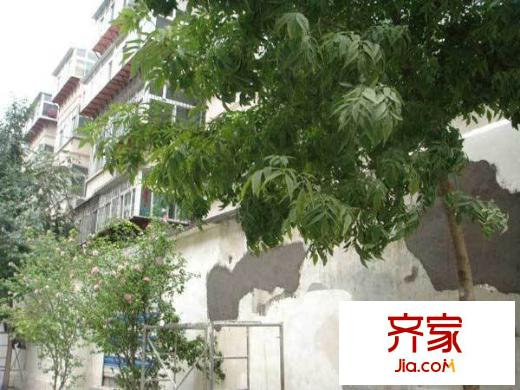 八里洼路單位宿舍外景圖 